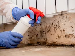 Why You Should Choose Our Mold Remediation Services in Forks, WA